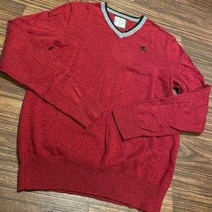 🔆 Express red knit sweater logo v neck